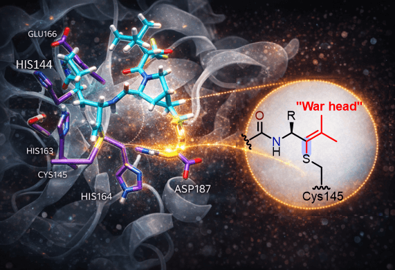Covalent inhibitor bound in the SARS-CoV-2 Main Protease active site with its electrophilic warhead highlighted